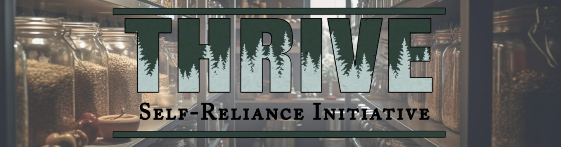 Thrive Self-Reliance Initiative