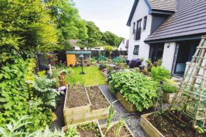 What Is the Thrive Self-Reliance