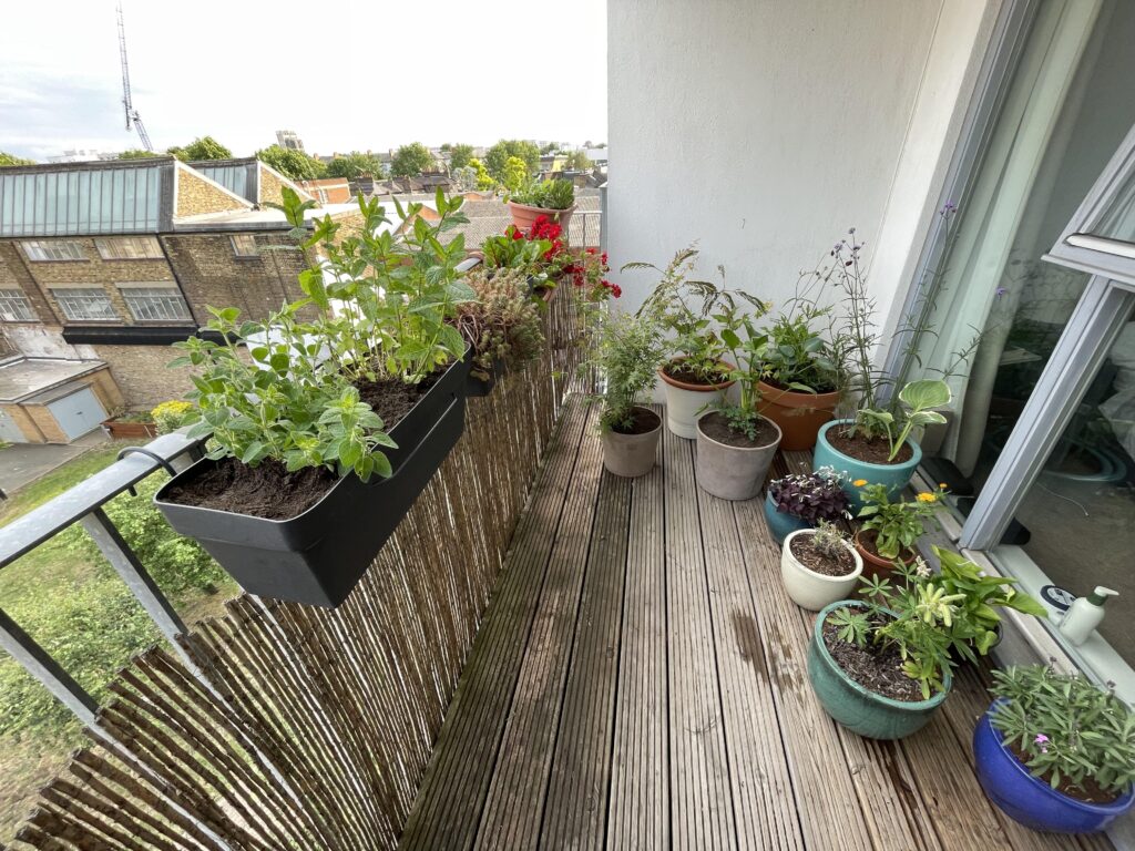 Apartment Gardening
