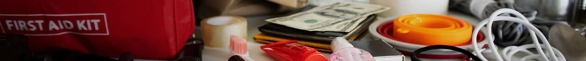 Thrive Self-Reliance Initiative